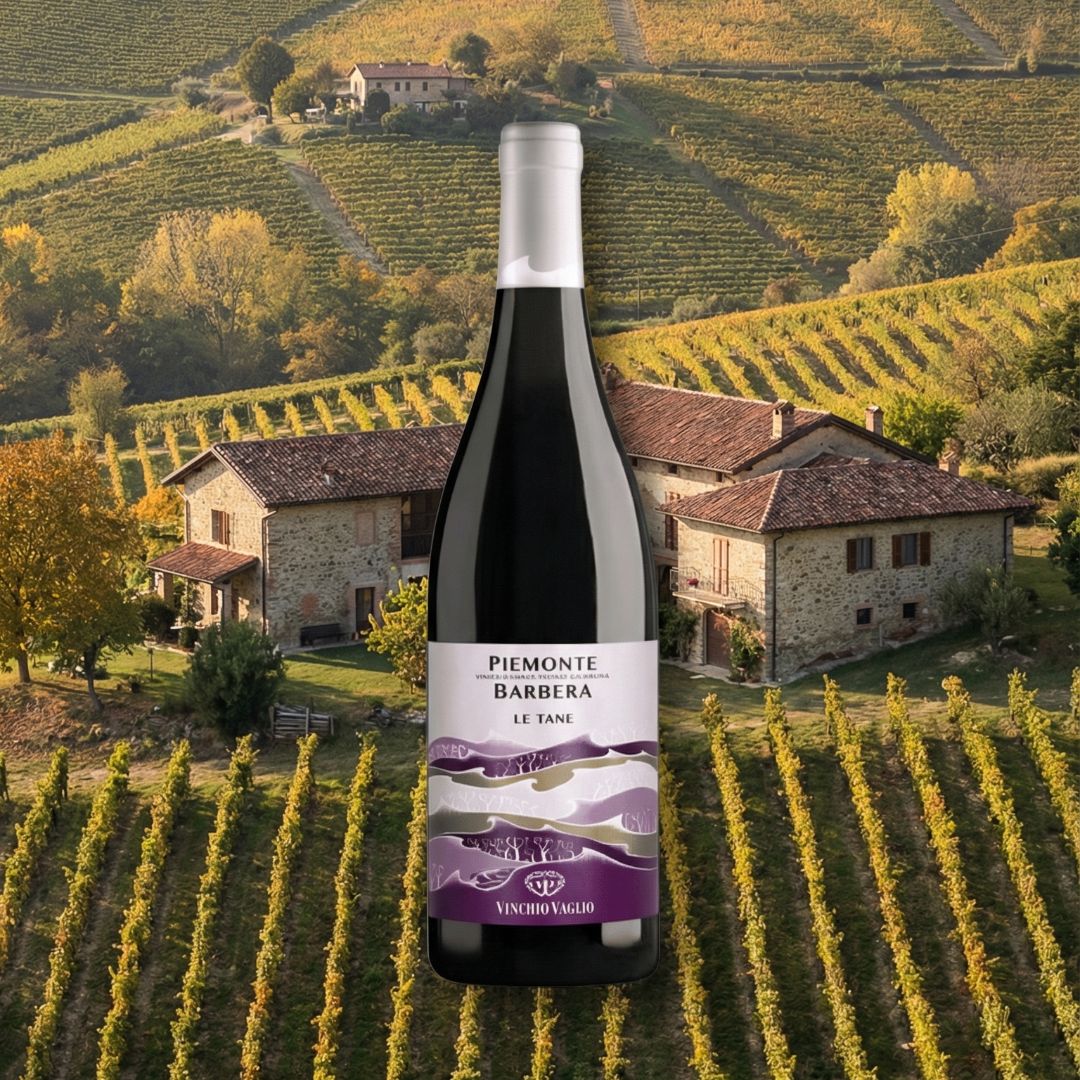 Vinchio Vaglio | Barbera Le Tane