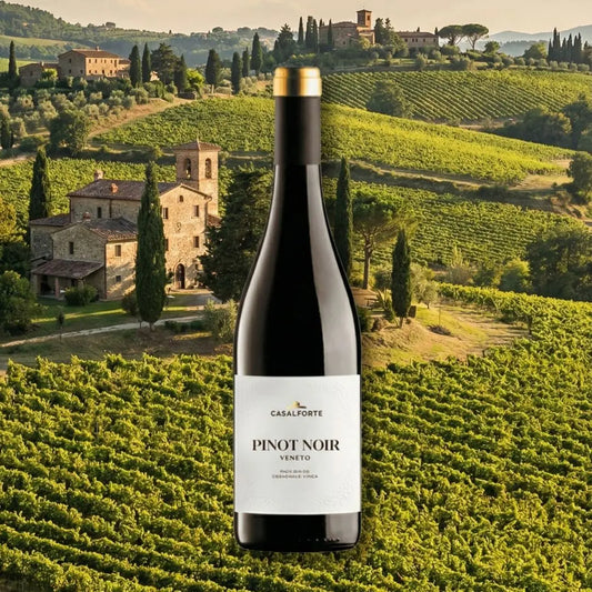 Casalforte | Pinot Noir
