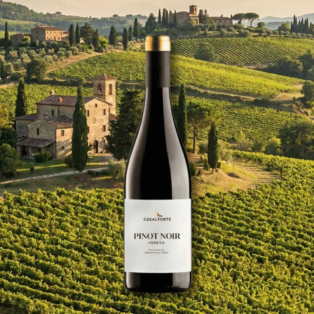 Casalforte | Pinot Noir