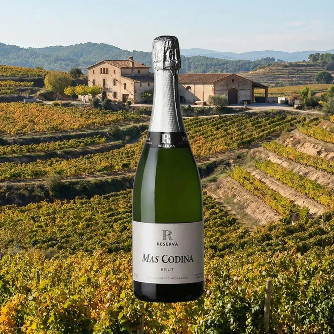 Mas Codina | Cava Brut