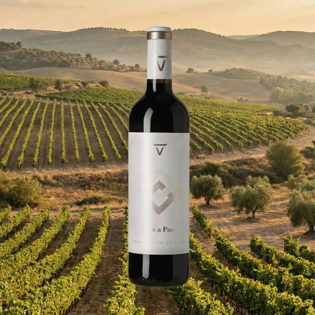 Paso a paso | Cosecha Tempranillo