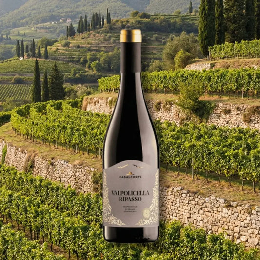 Casalforte | Ripasso