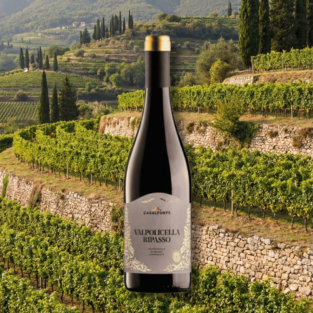 Casalforte | Ripasso